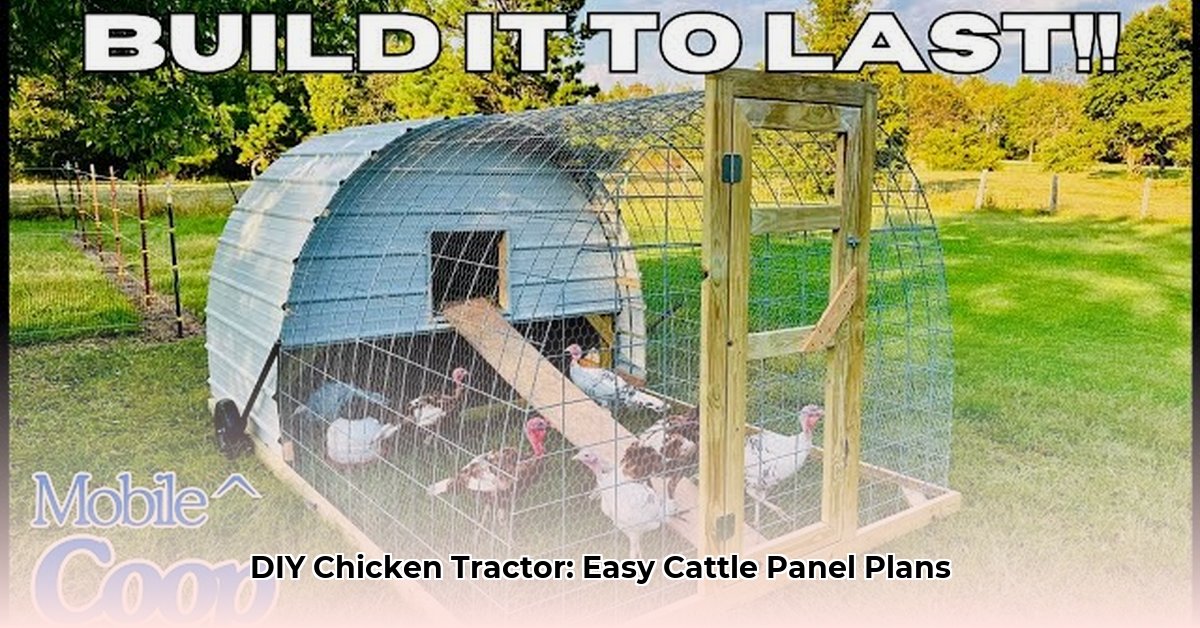 chicken-tractor-cattle-panels